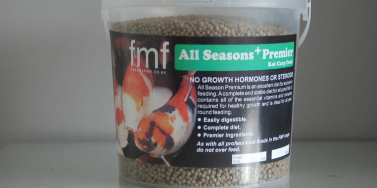 Est-ce bon de donner du pain au poisson ?