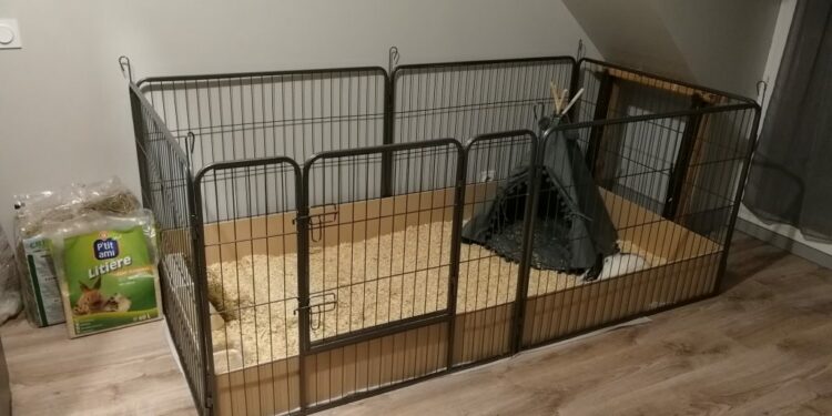 Est-ce grave si mon lapin mange sa litière ?