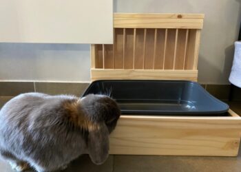 Est-ce grave si mon lapin mange sa litière ?