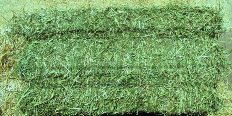 Est-ce grave si un lapin mange de la paille ?