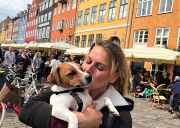 Est-ce normal qu'un chien tremble ?