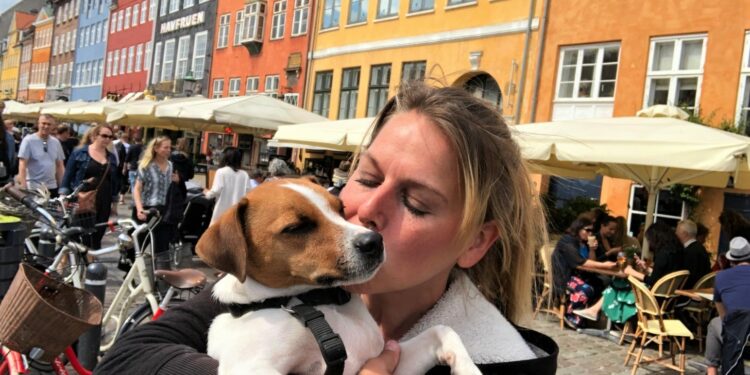 Est-ce normal qu'un chien tremble ?