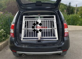 Est-ce obligatoire d'attacher son chien dans la voiture ?
