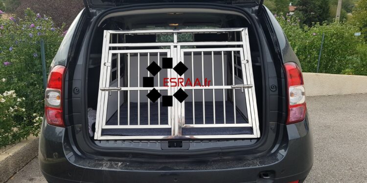 Est-ce obligatoire d'attacher son chien dans la voiture ?