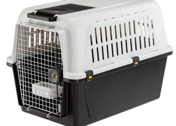 Est-ce obligatoire d'attacher son chien dans la voiture ?