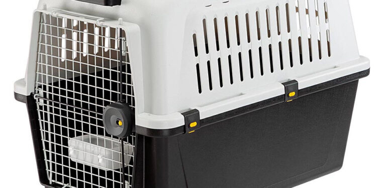 Est-ce obligatoire d'attacher son chien dans la voiture ?