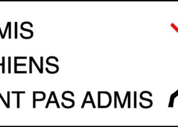 Est-ce que Mcdo accepte les chiens ?