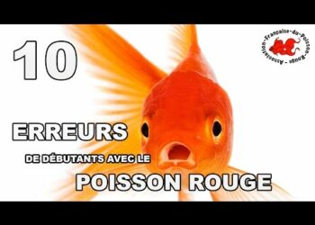 Est-ce que ça souffre un poisson rouge ?