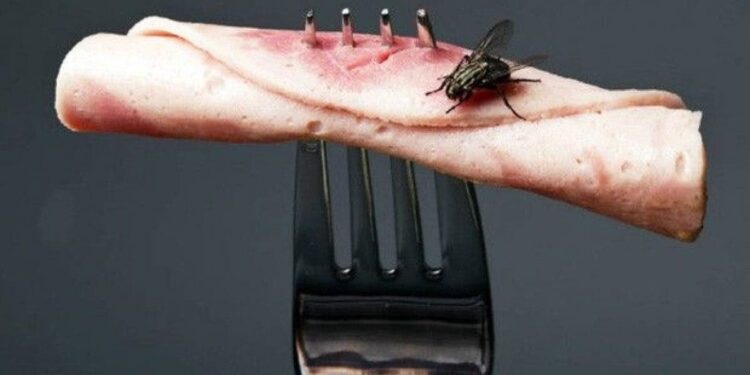 Est-ce que c'est dangereux d'avaler une mouche ?