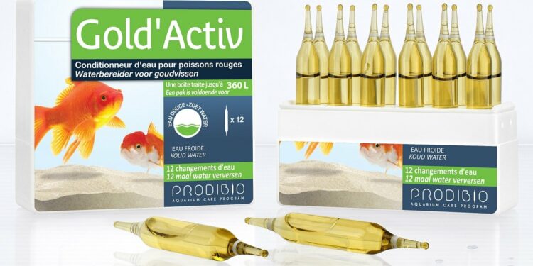 Est-ce que je peux mettre de l'eau du robinet dans mon aquarium ?