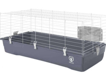 Est-ce que je peux mettre mon lapin dehors ?