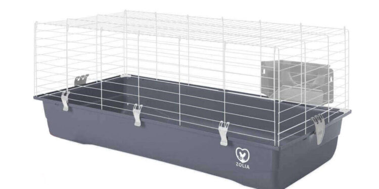 Est-ce que je peux mettre mon lapin dehors ?