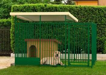 Est-ce que la SPA garde les chiens pour les vacances ?