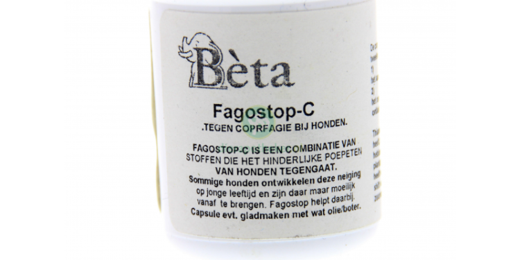 Est-ce que la banane est toxique pour les chiens ?