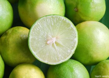 Est-ce que la carotte est un fruit ?