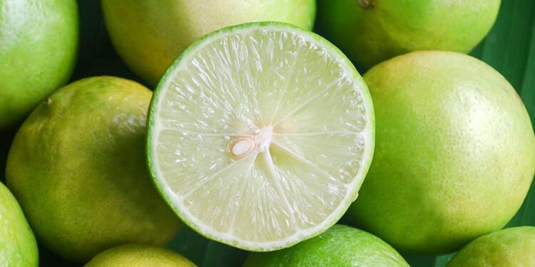 Est-ce que la carotte est un fruit ?