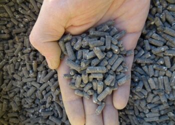 Est-ce que la fiente de poule est un bon engrais ?