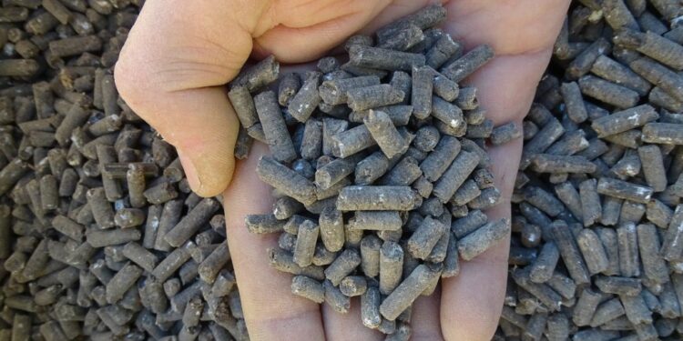 Est-ce que la fiente de poule est un bon engrais ?