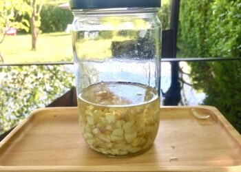 Est-ce que la javel tue les mouches ?