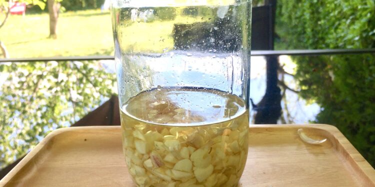 Est-ce que la javel tue les mouches ?