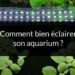 Est-ce que la lumière dérange les poissons ?