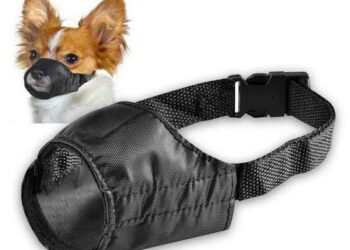 Est-ce que la muselière est obligatoire ?