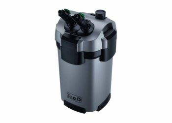 Est-ce que la pompe de l'aquarium doit tourner tout le temps ?