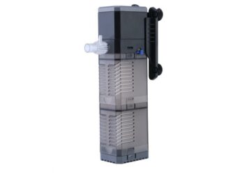 Est-ce que la pompe de l'aquarium doit tourner tout le temps ?