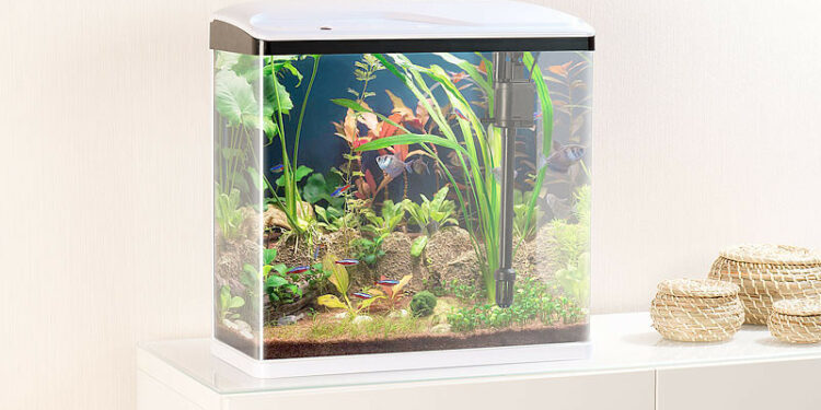 Est-ce que la pompe de l'aquarium doit tourner tout le temps ?