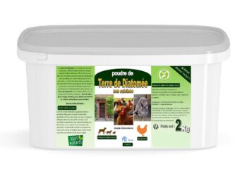 Est-ce que la terre de diatomée tue les puces ?