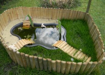 Est-ce que la tortue entend ?