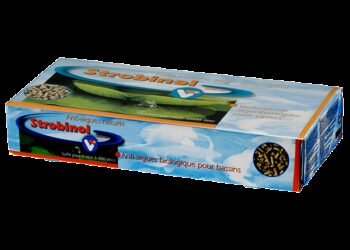 Est-ce que l'anti-algue annule le chlore ?