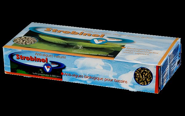 Est-ce que l'anti-algue annule le chlore ?