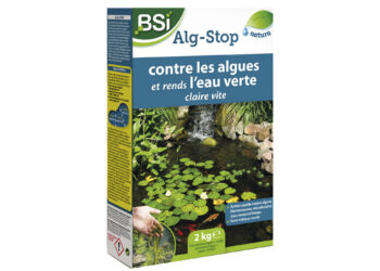 Est-ce que l'anti-algue annule le chlore ?