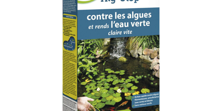 Est-ce que l'anti-algue annule le chlore ?