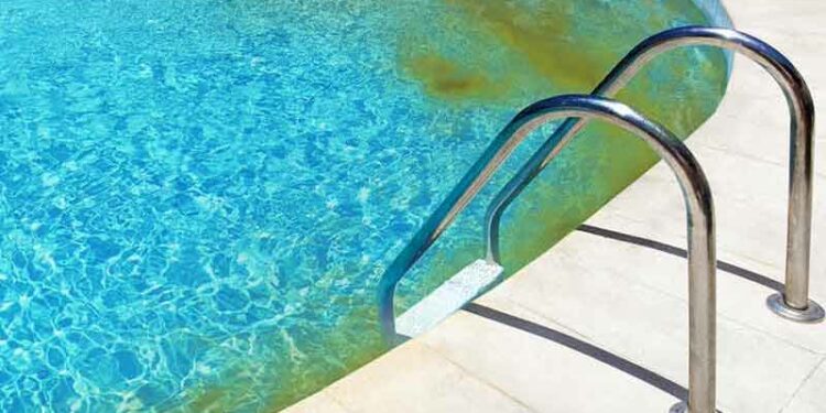 Est-ce que l'anti algue annule le chlore ?