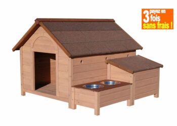 Est-ce que le Berger Allemand supporte le froid ?