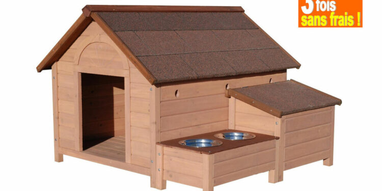 Est-ce que le Berger Allemand supporte le froid ?