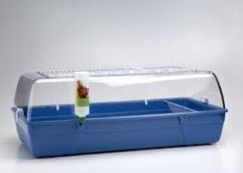 Est-ce que le carton est dangereux pour les lapins ?