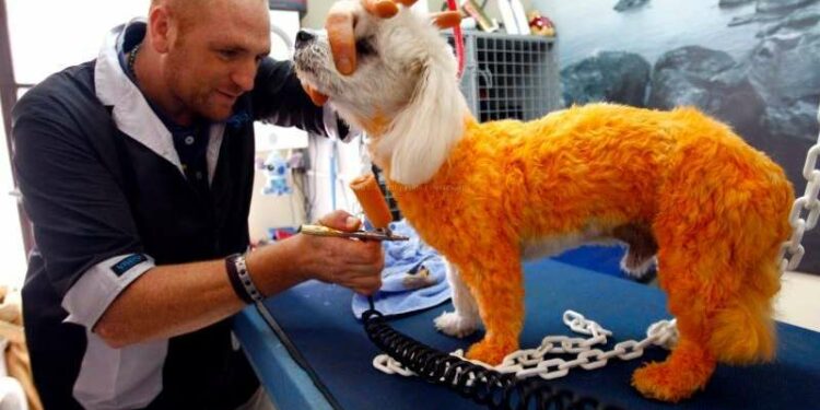 Est-ce que le chat transpire ?