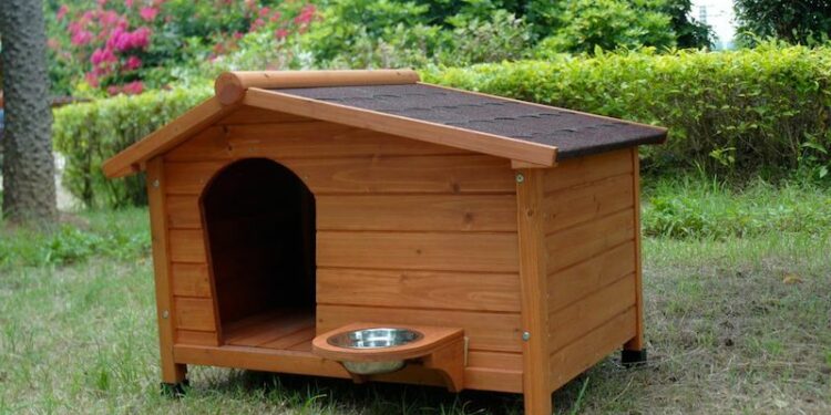 Est-ce que le chien à froid dehors ?