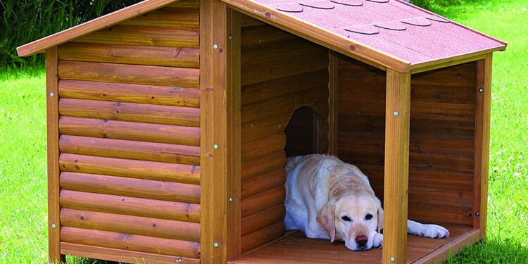 Est-ce que le chien à froid dehors ?