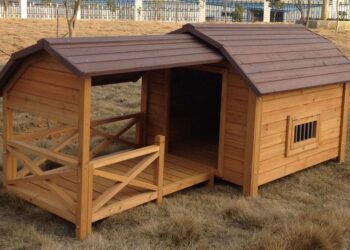 Est-ce que le chien à froid dehors ?