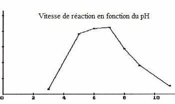 Est-ce que le chlore fait baisser le pH ?