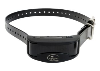 Est-ce que le collier Anti-aboiement fonctionne ?