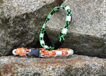 Est-ce que le collier Seresto tue les tiques ?