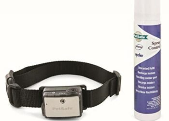 Est-ce que le collier anti aboiement est efficace ?