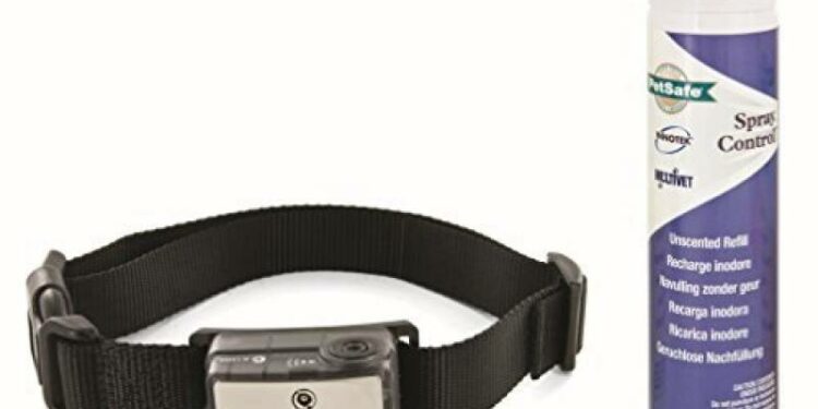 Est-ce que le collier anti aboiement est efficace ?