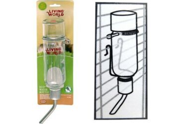 Est-ce que le lapin peut boire dans une gamelle ?