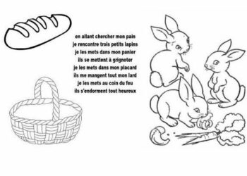 Est-ce que le lapin peut boire de l'eau ?
